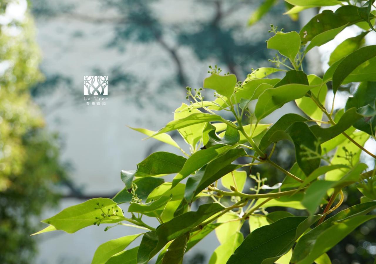 La Tree 普椿農場木子莊園 Apartment Донгхе Екстериор снимка