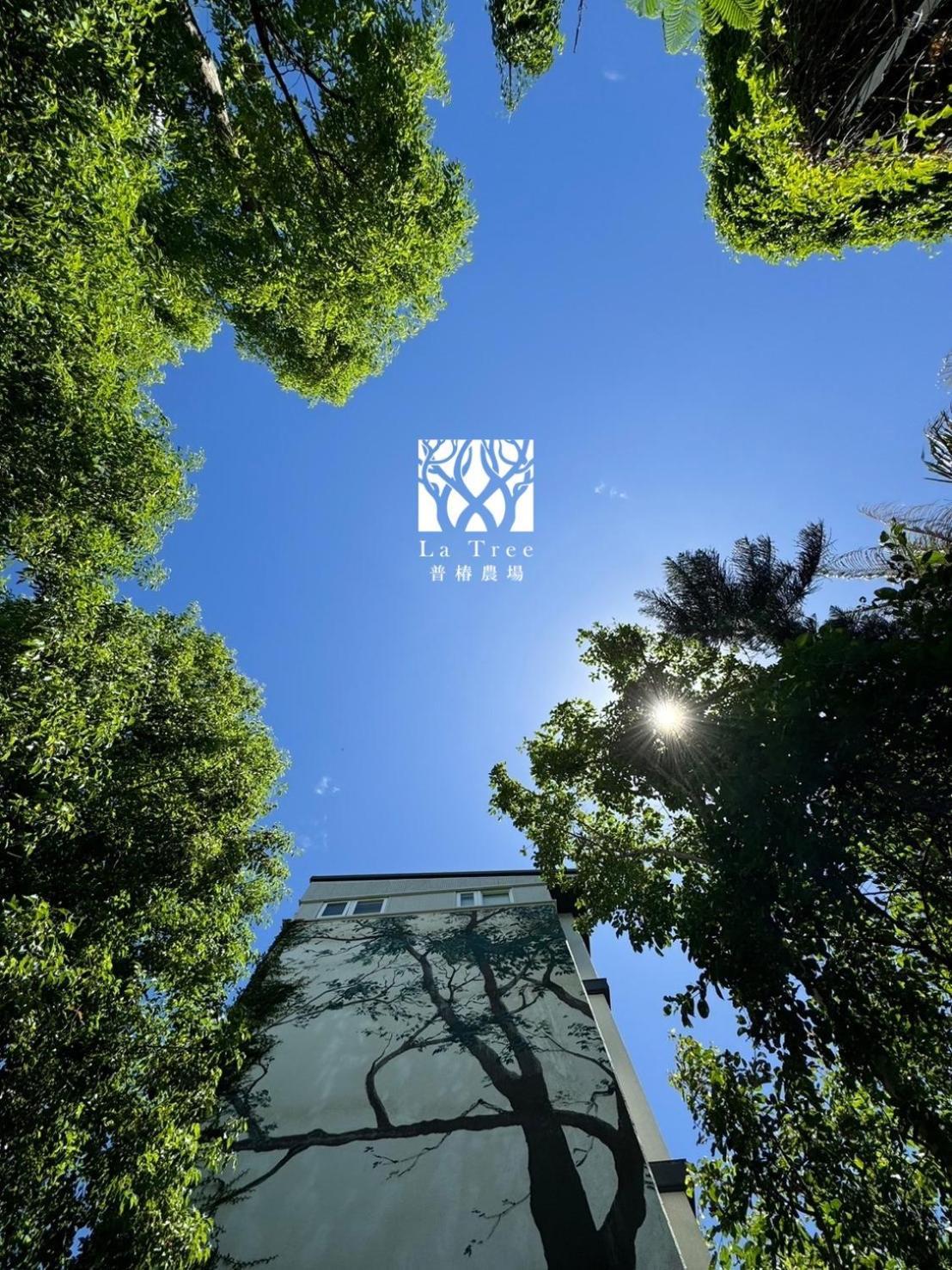 La Tree 普椿農場木子莊園 Apartment Донгхе Екстериор снимка